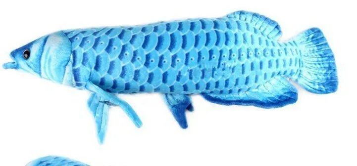 Плюшевый 60 см синий цвет золотой Arowana Плюшевая Игрушка Рыба кукла подарок w1569