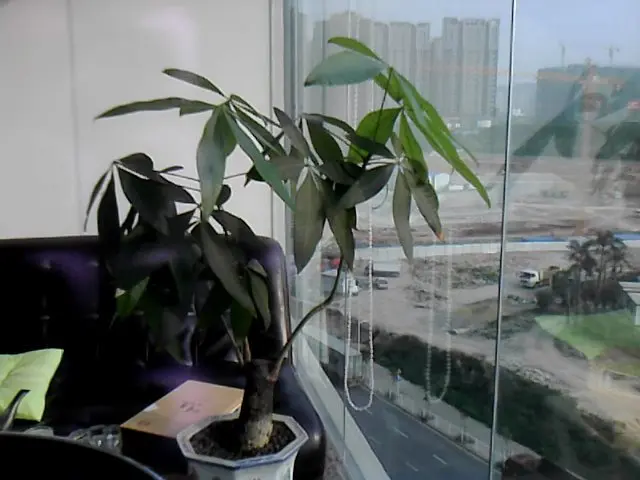 Fri Apr 18 16-48-57.jpg