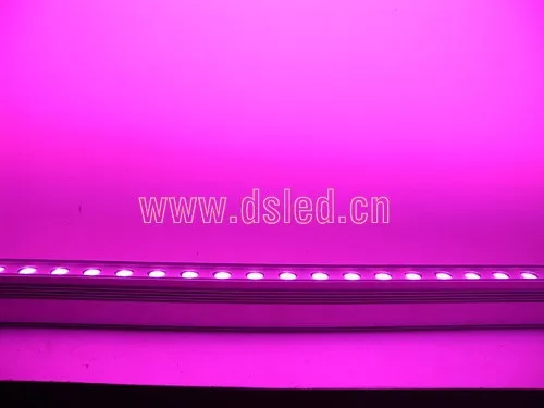 DSCN6035