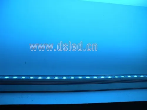 DSCN6032