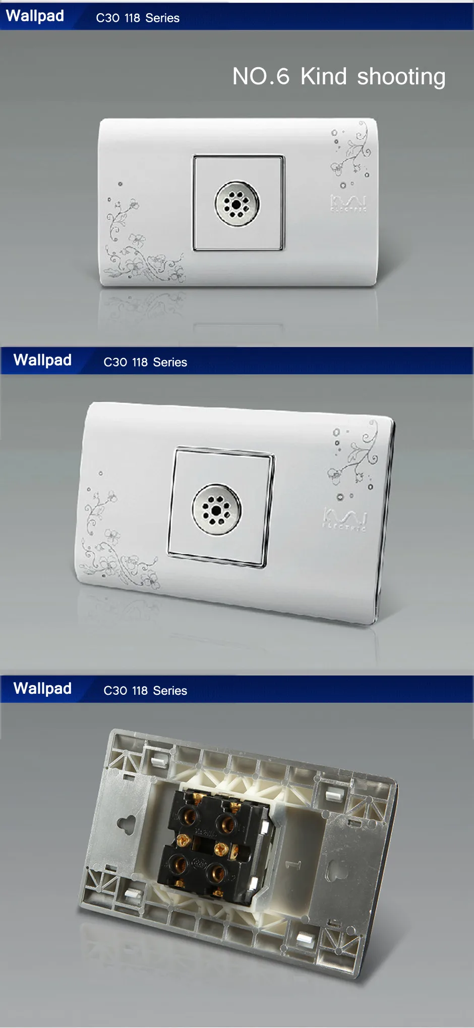 aeProduct.getSubject()