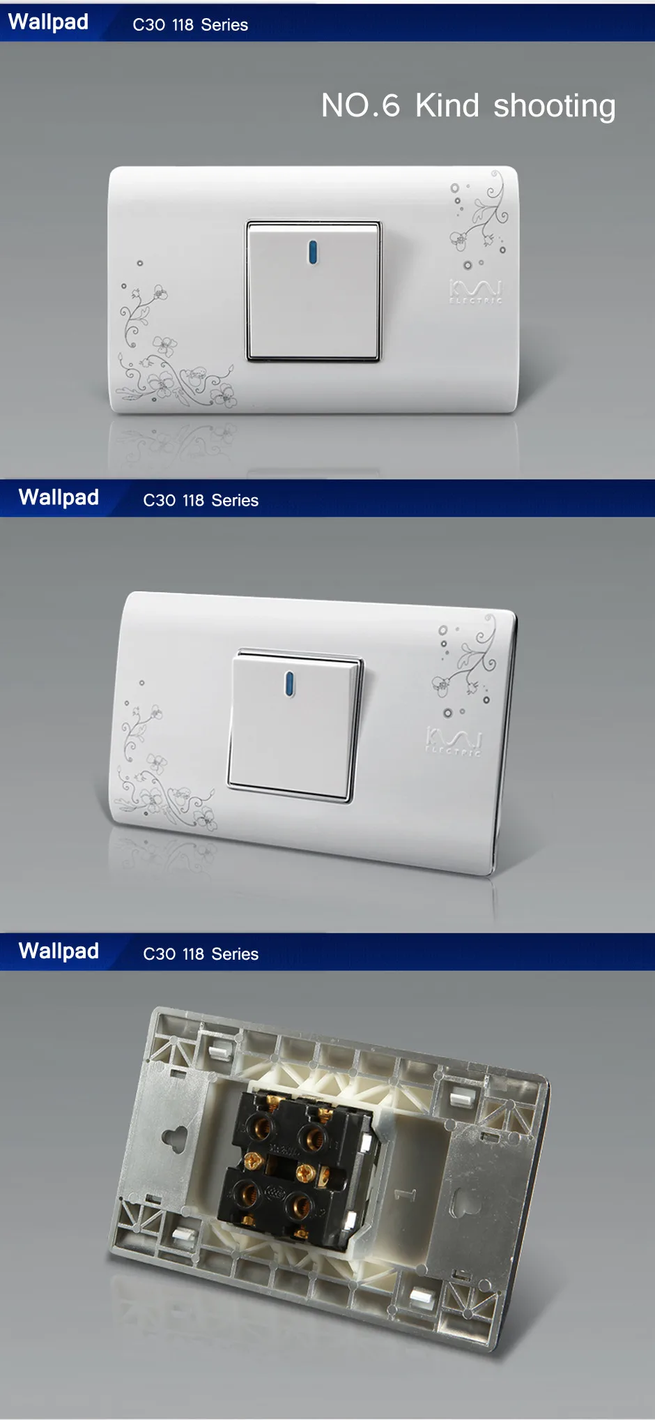 aeProduct.getSubject()