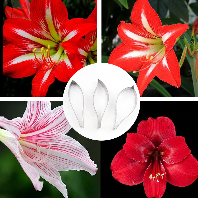 

Large Stainless Steel Vermilion Petal Cutting Klei Polymorph Designer DIY Soft Polymer Clay Flower Blossom Petal Cutter Tools