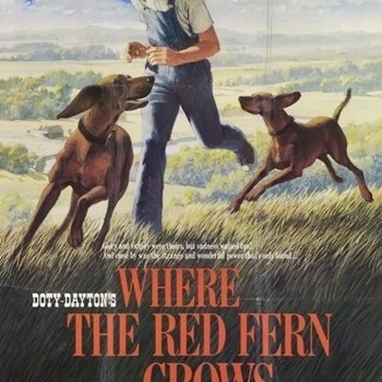 Where the Red Fern Grows Movie Poster (11 x 17) | Дом и сад