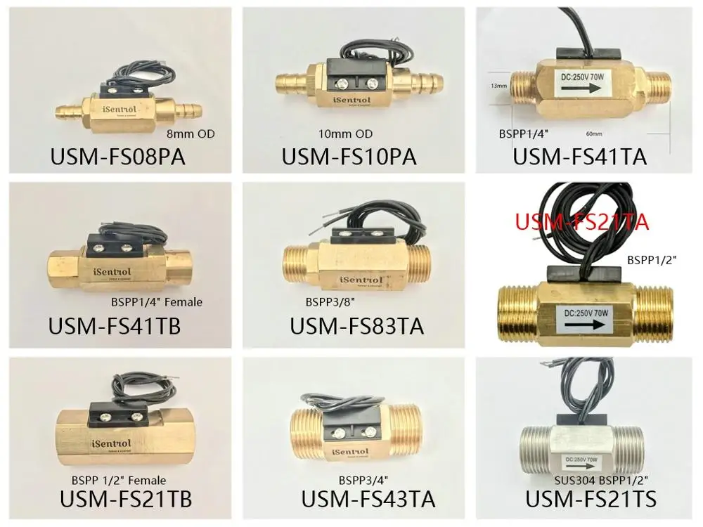 

USM-FS Serie Flow Sensor Switch Reed Switch Brass Magnetic Sensor Switch 1.5-12L/min 250V DC 70W 2 wire Saier Sensor iSentrol
