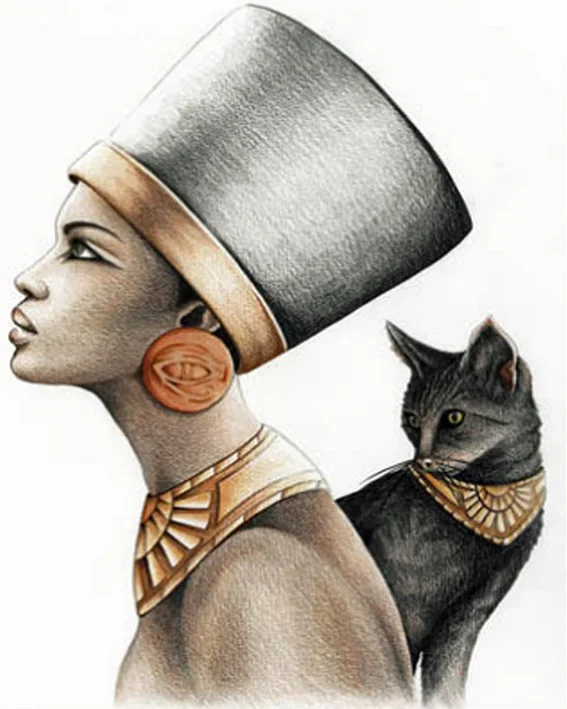 кондрашкова художник египет. кошка нефертити. нефертити царица египта срисовать. царица египта нефертити арт. египетская богиня кошка бастет барельеф.
