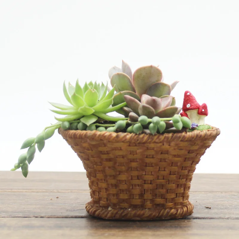 

WSHYUFEI Mini Cute Flower Pot Succulent Plant Flowerpots Resin Kawaii Garden Pots Home Decor