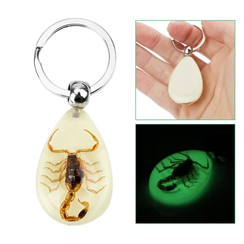 

Car Keyring Keychain Handbag Wallet Pendant Noctilucent Key Rings Scorpion Amber Pendant Creative Scorpion Key Holder