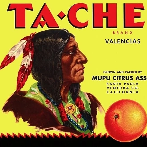 TA-CHE бренд индийский Head label плакат печать (36x54) | Дом и сад