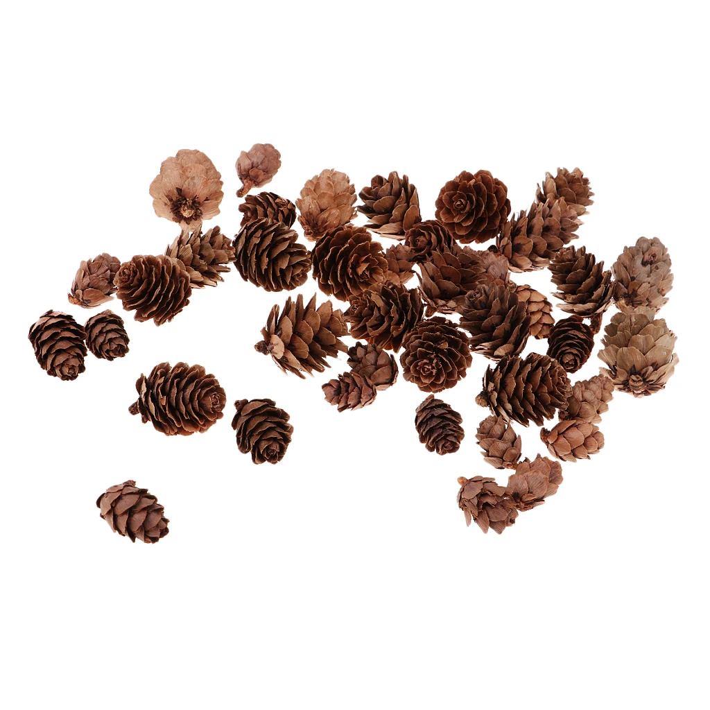 

50x Mixed Size Decorative Pinecone Pine Cone Vase Bowl Filler Displays Decor