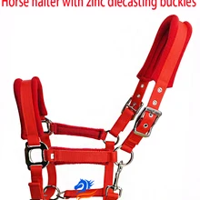 PP лямки Верховая Холтер с цинка спрессованный buckles.6MM толстые лямки с мягкой подушкой(BLT2010