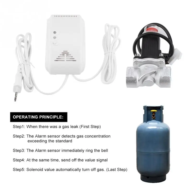 

Hot Natural Gas Alarm Sensor Leakage Detector House Safety Device with Solenoid Valve