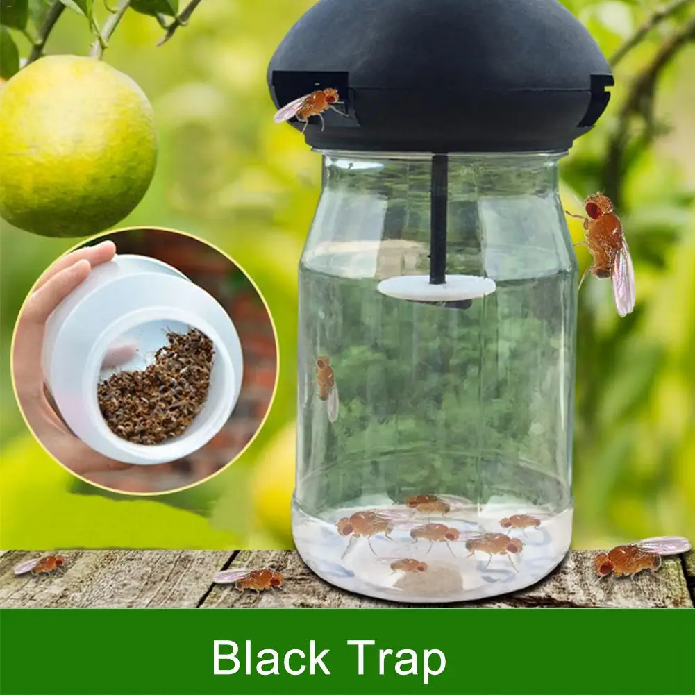 

2PCs Portable Fruit Fly Catcher Trap Killer Insect Trap Drosophila Trap Fly Catcher Black Plastic Outdoor Flies Garden Insect