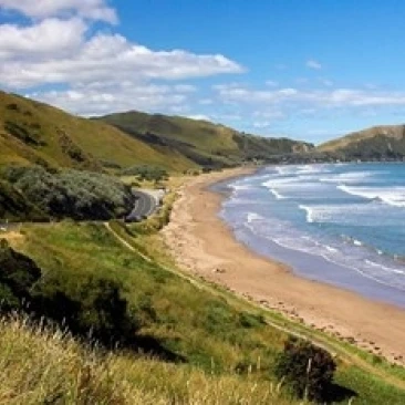 Makorori Beach near Gisborne Eastland New Zealand постер печать Дэвида Уолла (26x17)|Таблички и знаки| |
