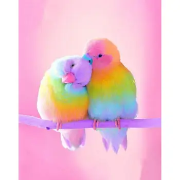 

Full 5D Diy Diamond Painting Cross Stitch "A pair of parrots" 3D Diamond Embroidery Rhinestone Mosaic Decor Paintings