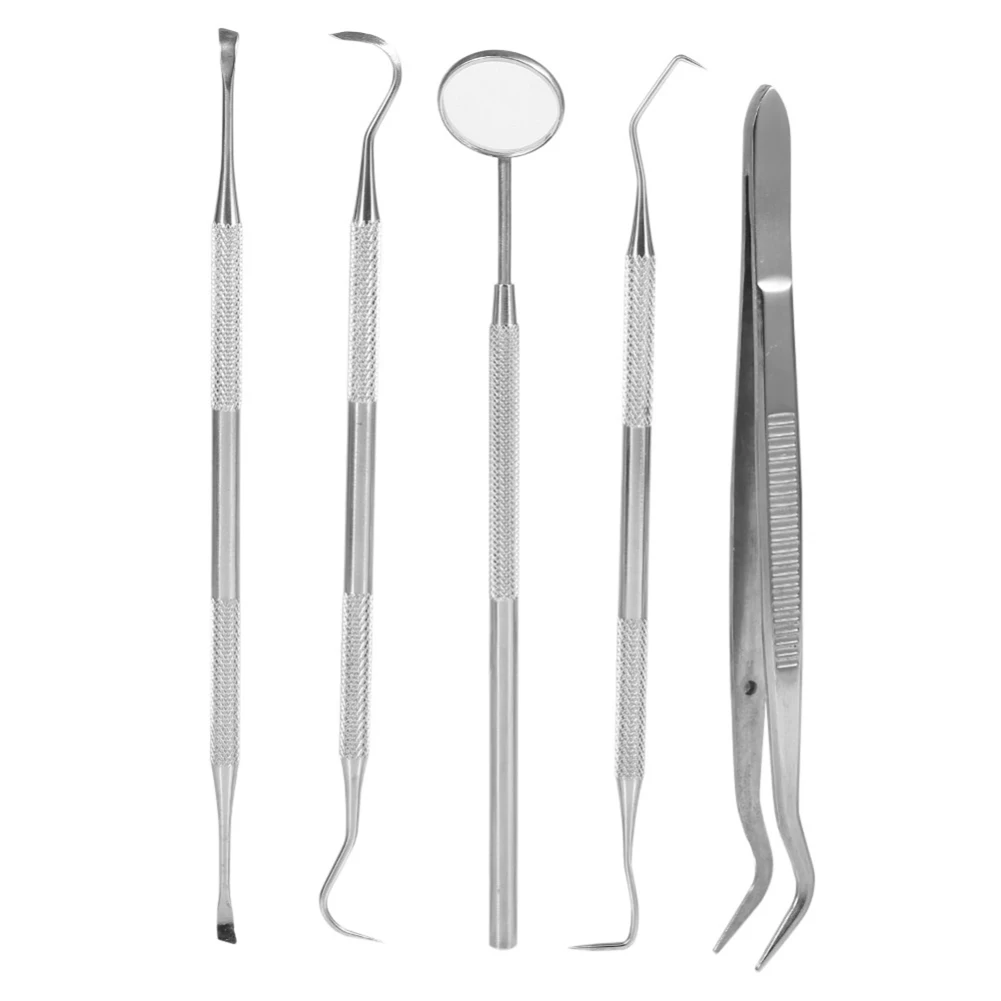 

5 Pieces Set Stainless Steel Dentist Dental Care Cleaning Teeth Whitening Dental Floss Dental Hygiene Kit Plaque Remover Set D