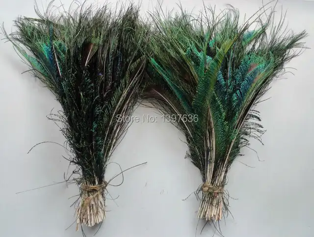 Wholesale 500pcs 28 35cm Natural Peacock Feathers Sword
