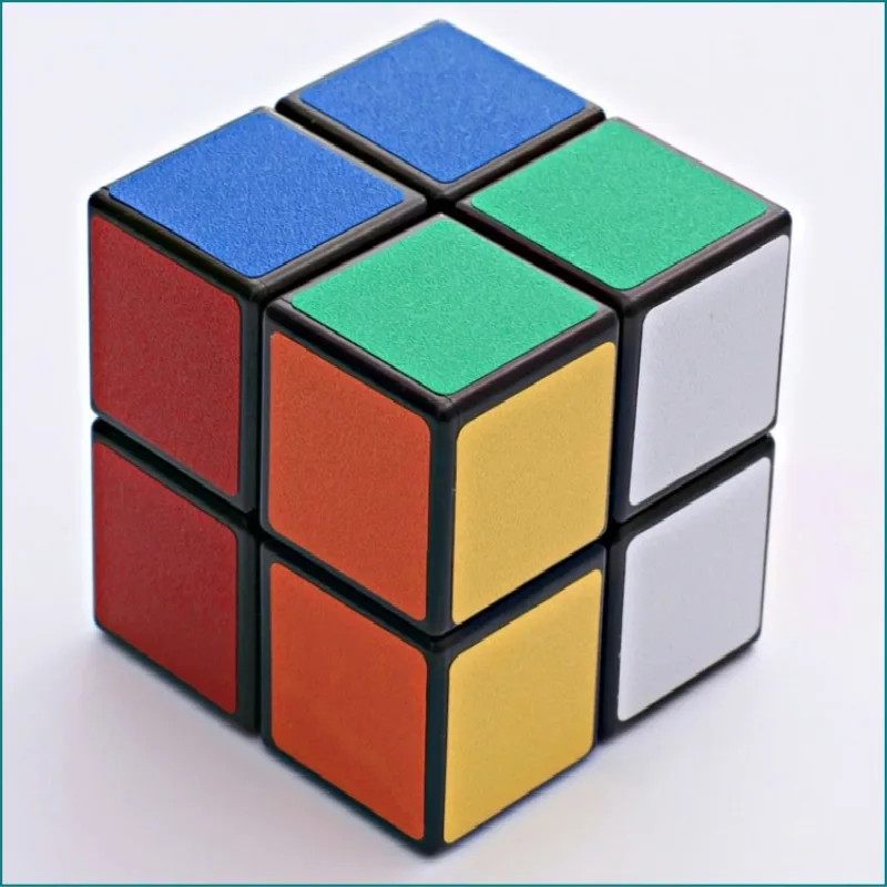 

ShengShou Magic Neo Rubix Cube 2 Steps 50mm 2X2 Sticker Puzzle Cube Educational Fidget Toys For Children Hand Spinner