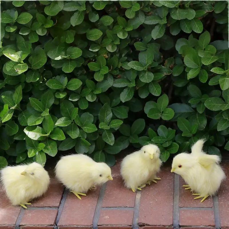  Simulated Vocal Chick Plush Toy Animal Doll Children's Teaching Static Model - 33001815042