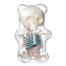 4D MASTER STEM анатомическая модель Gummi Bear Скелет Аниме Фигурка взрослые дети подарки научная модель животного