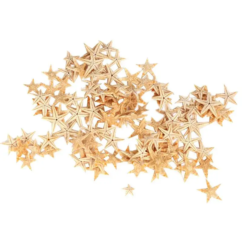 

Small Starfish Star Sea Shell Beach Craft 0.4 inch-1.2 inch 90 Pcs