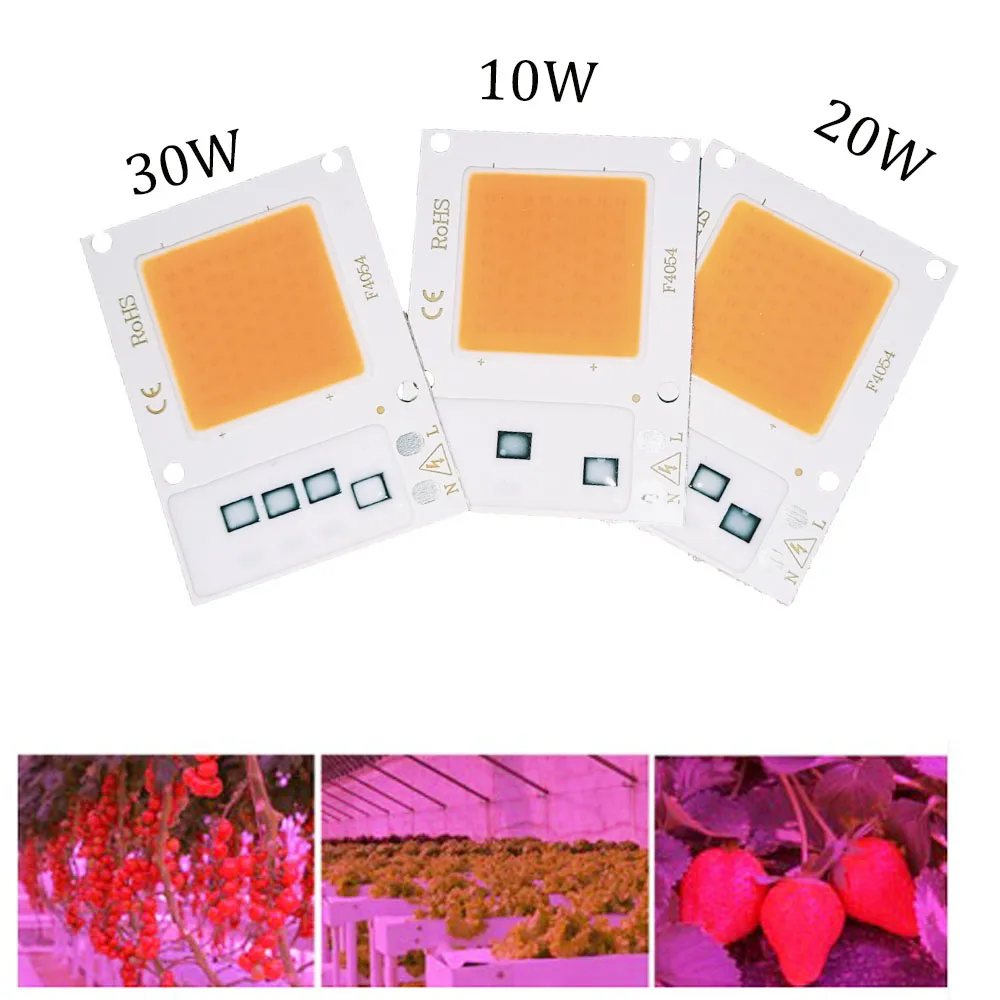 

10W 20W 30W LED Grow Lights fitolamp COB LED Growing Lamp Bulbs 110V 220V Smart IC LED Diode Matrix Phyto Grow Tent Plants