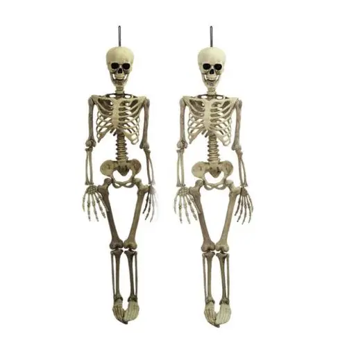 38cm Human Skeleton Life Size Skull Full Body Anatomy Model Halloween Medical Parties Spoof Horror Props | Дом и сад