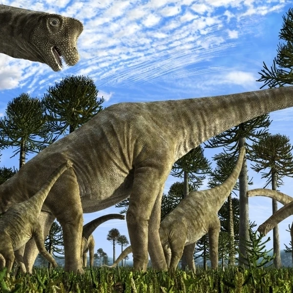 Giraffatitan brancai динозавры пасутся в юрской среде плакат печать (36x21)|Таблички и знаки| |