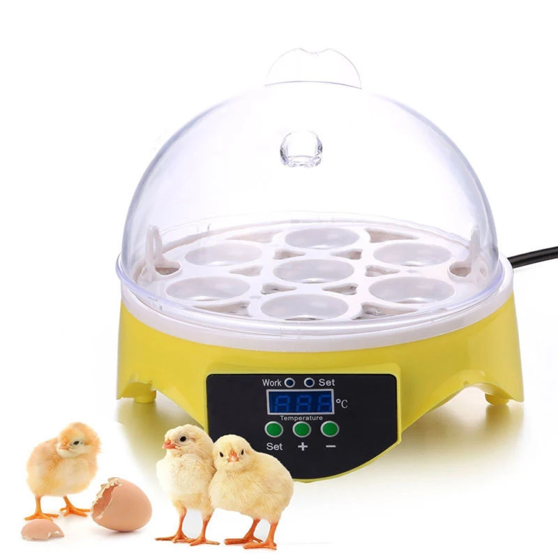 Mini 7 Eggs Incubator Fully Auto Digital Poultry Chicken Duck Hatcher Egg Incubator Hatcher Chicken Duck Bird