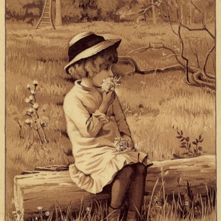 Молодая девушка с Posy плакат печать Мэри Эванс картина Librarypeter & Dawn Cope Collection
