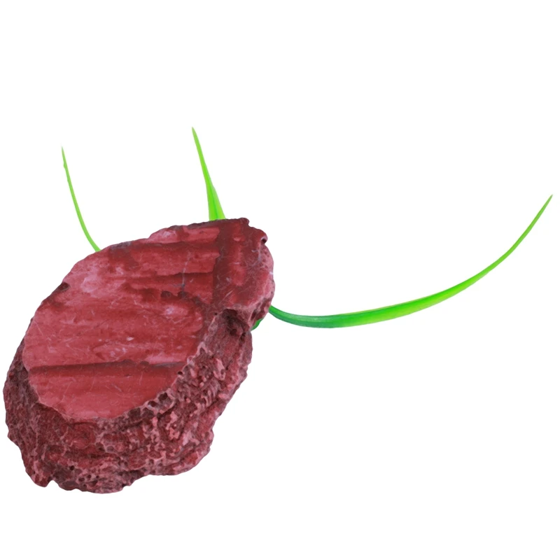 Кирпич красный овальной формы смолы бак рептилий блюдо чаша с травой
