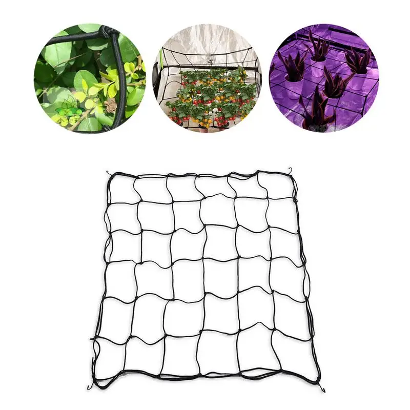 

Elastic Garden Rubber Trellis Net With 4 Steel hooks Garden Vegetable Flower Protect Netting Climbing Vine Plant Support Net