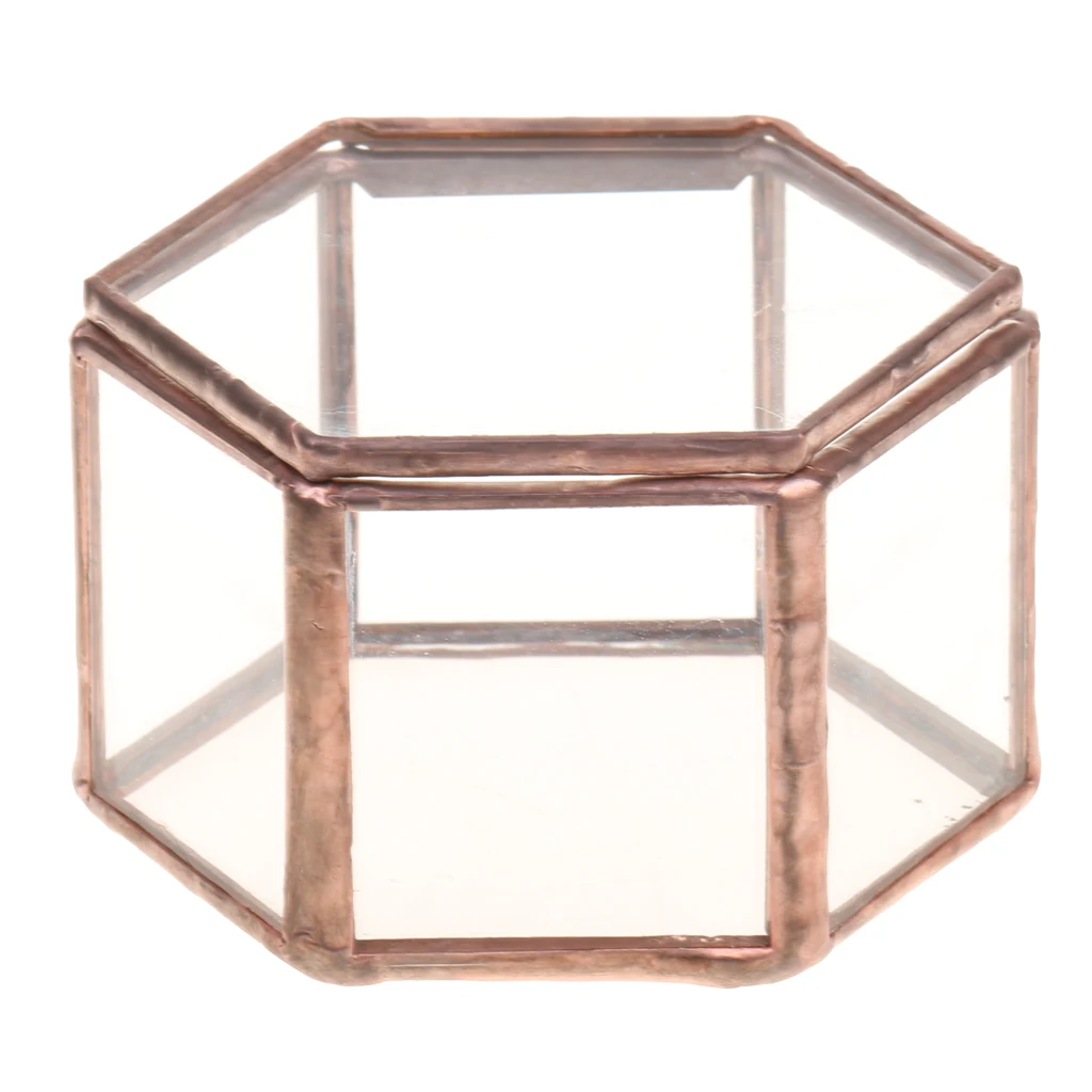 

LUDA Geometrical Clear Glass Jewelry Box Jewelry Organize Holder Tabletop Succulent Plants Container Ewelry Storage