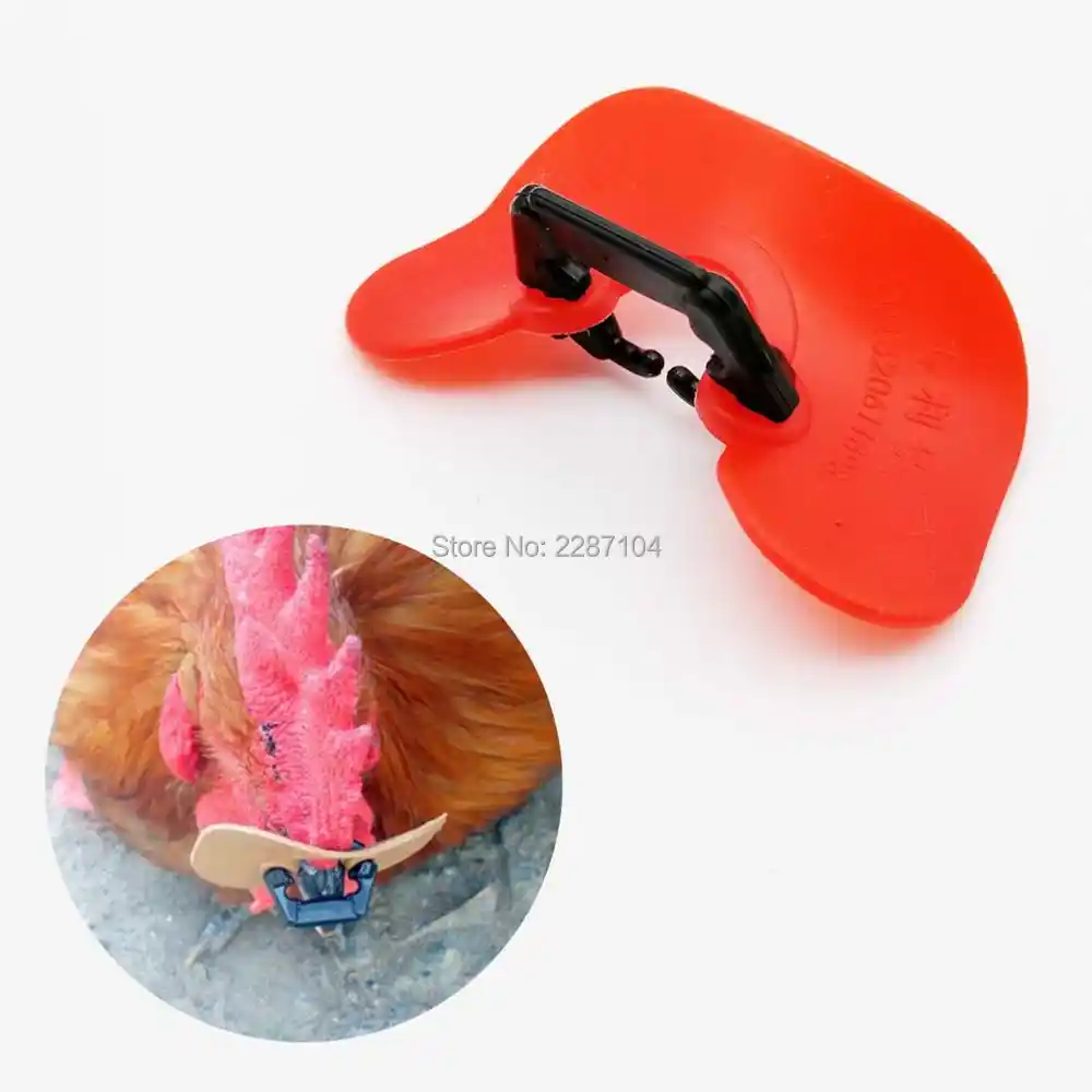 Pinless 12 pcs Macio Nenhum Pino Parafuso Frango Olhos Óculos Faisão Aves Antolhos Óculos Anti-pecking