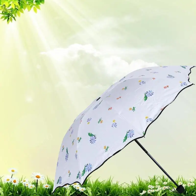 солнце и дождь зонты. зонт от дождя. зонтик от дождя и солнца. зонтик в луже. солнце и дождь зонты.