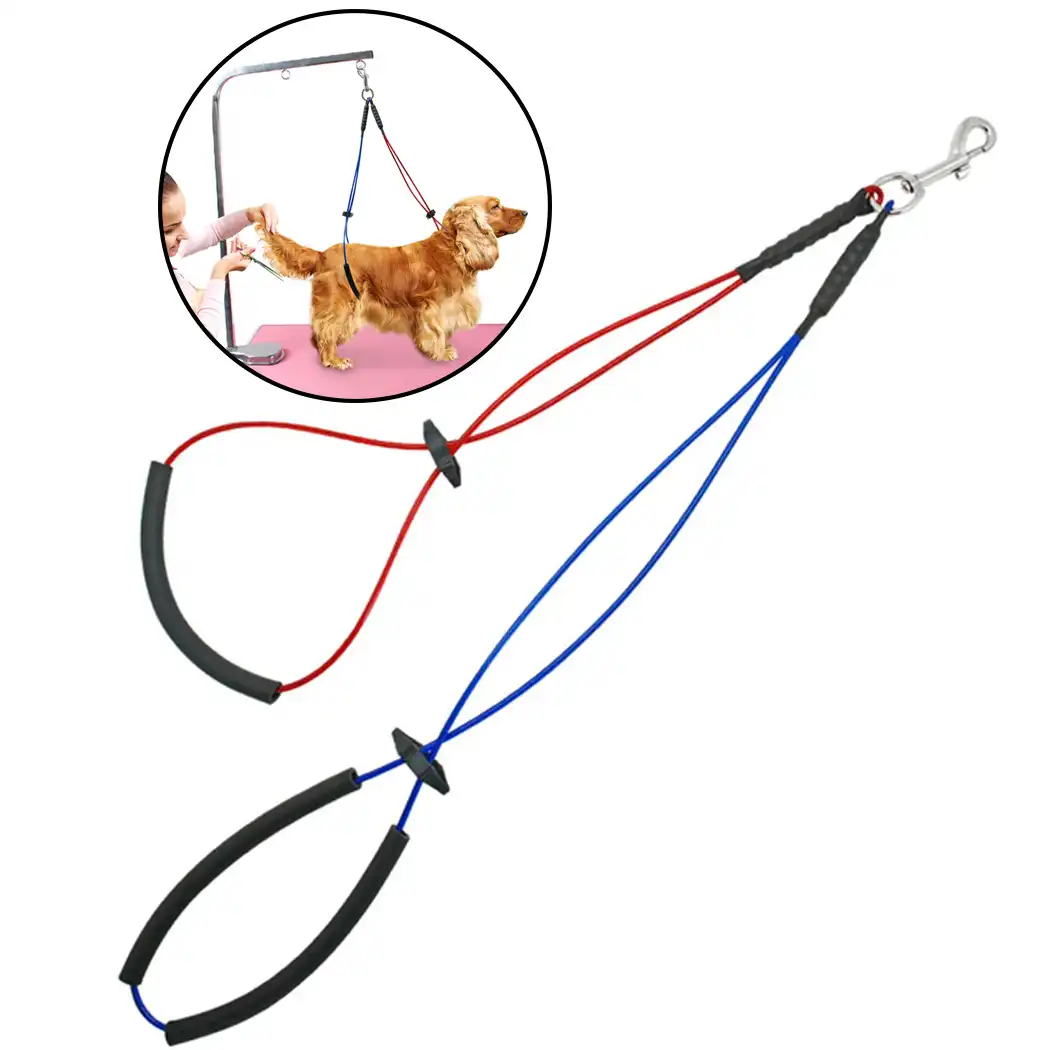 dog grooming loop