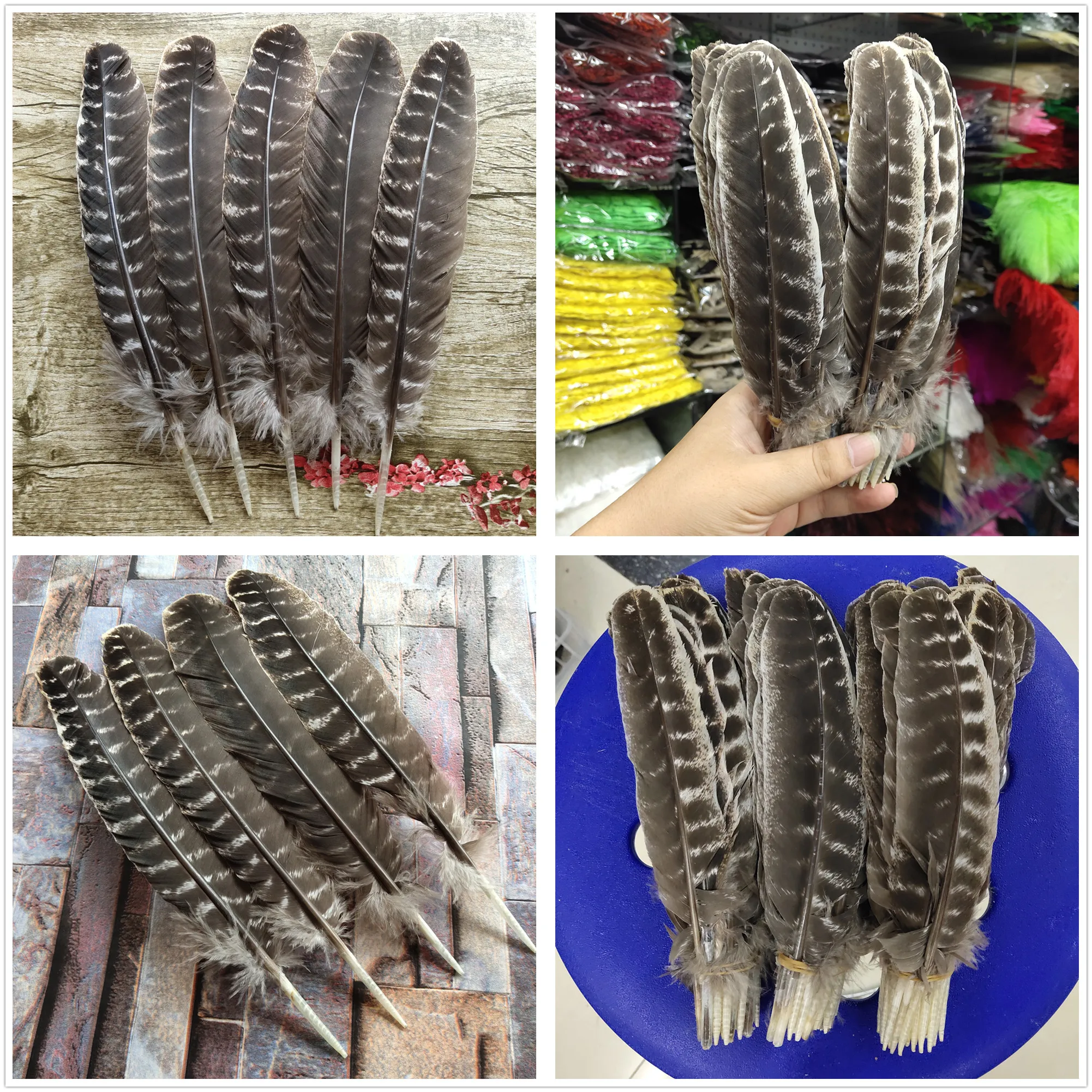 Wholesale 10pcs Pretty Natural Wild Turkey Wing Feathers 9 12inches/22