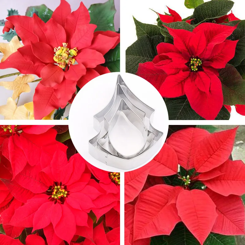 

Stainless Steel Christmas Flower Poinsettia Petal Cutter Clay Tools Polymorph Keramiek Gereeds Maket