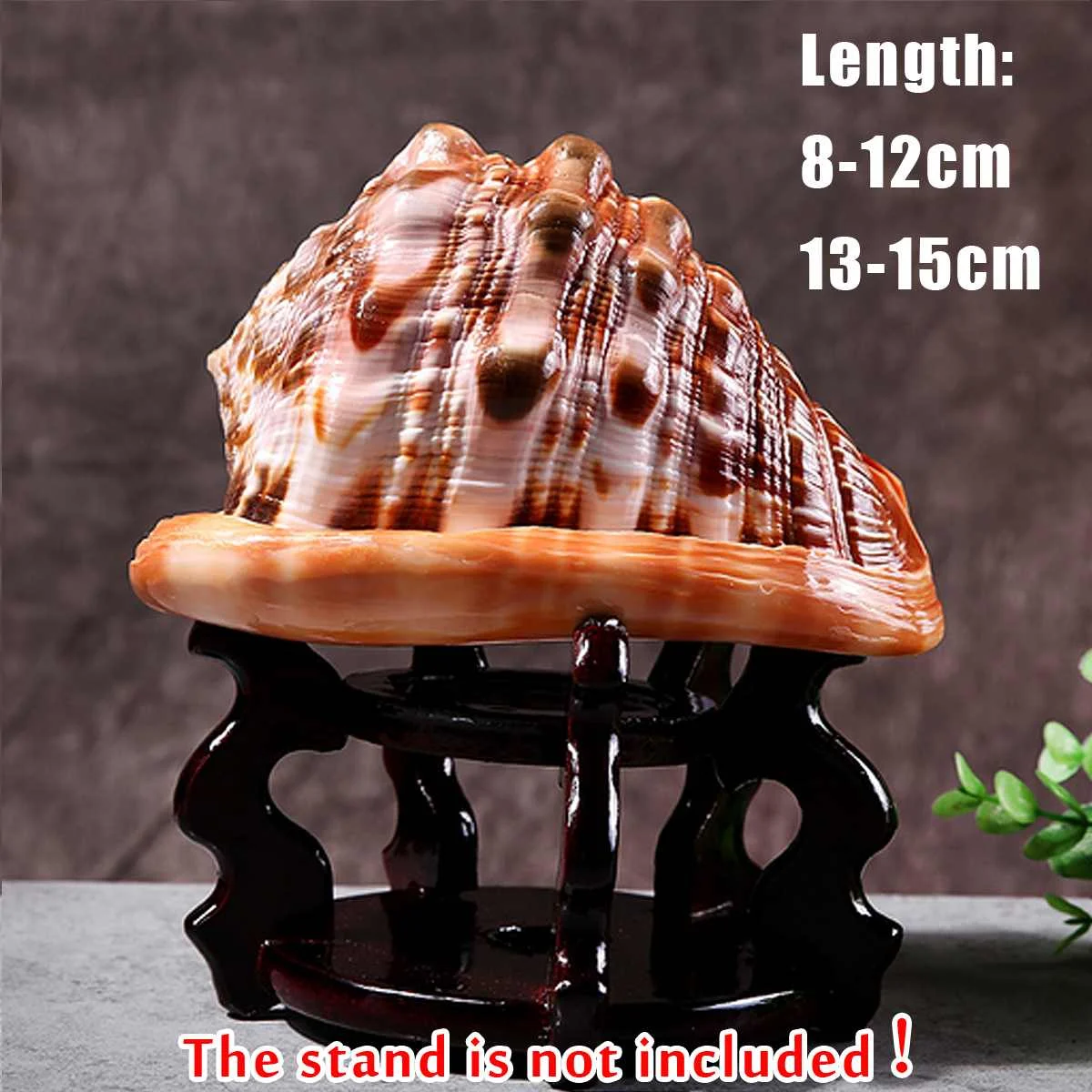 

1Pcs Natural Sea Shell Craft Bull Mouth Helmet Conch Sea Snail Fish Tank Adorn Aquarium Nautical Ornament Wedding Festival Decor