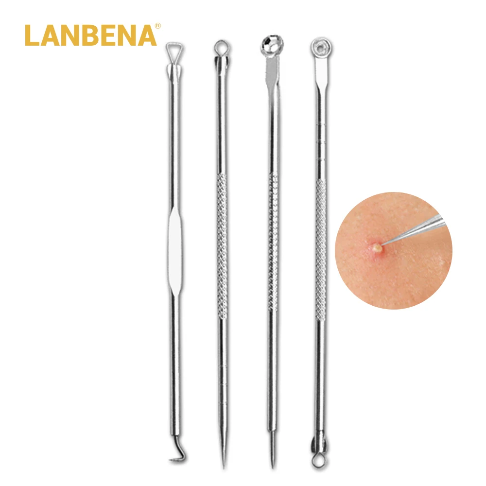 4 PCS LANBENA Household Stainless Steel Double Tip Needle Blackhead