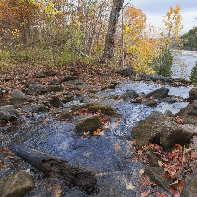 homes for sale in halton hills ontario canada