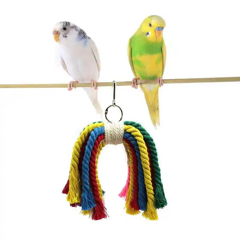 Love Birds  Parrots Cockatiels Budgie Acidea Bird Toys Bird Cage Toys Mini Sneaker Bird Toy Parrot Bird Chew Toy with Colorful Beads Suggested for Parakeets Finches