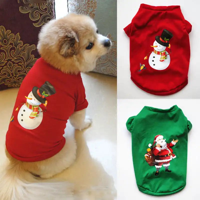 matching baby and dog christmas outfits