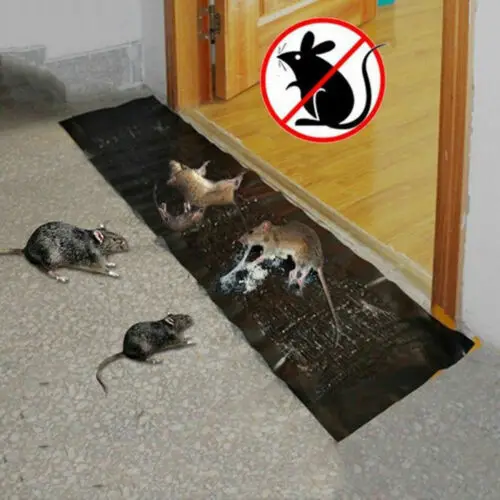 Large Size Mice Mouse Rodent Glue Traps Board Super Sticky Rat Snake Bugs Safe Black | Дом и сад