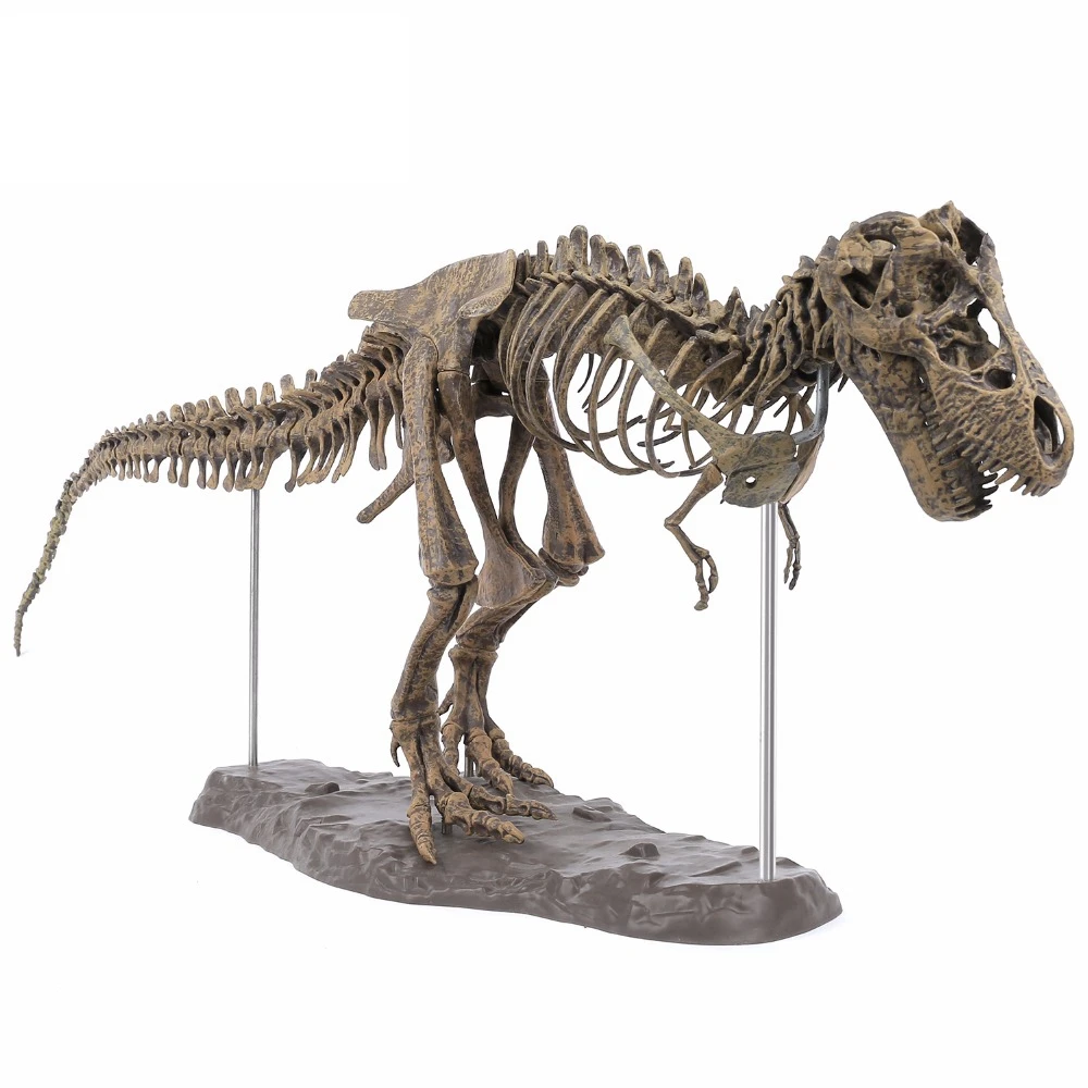 

Large Dinosaur Fossil Skull Animal Model Toys Tyrannosaurus Rex Assemble The Skeleton Model Furnishing Articles Decoration