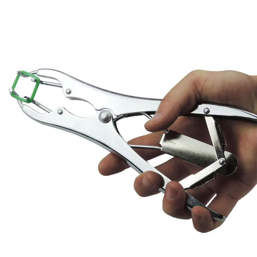 

Adeeing Stainless Steel Tail Docking Clamp Bloodless Castration Pliers or Tails Docking Rings for Piglets Sheep