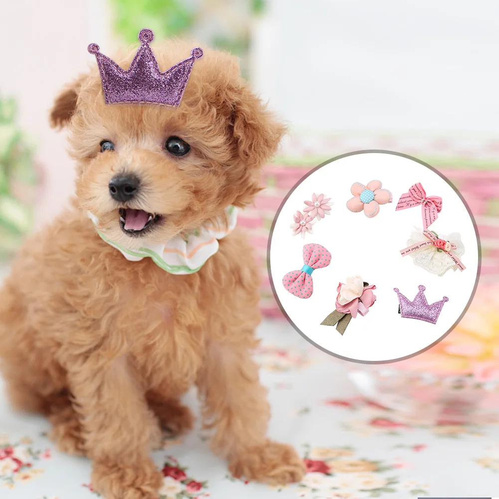 Dog head accessories Clearance