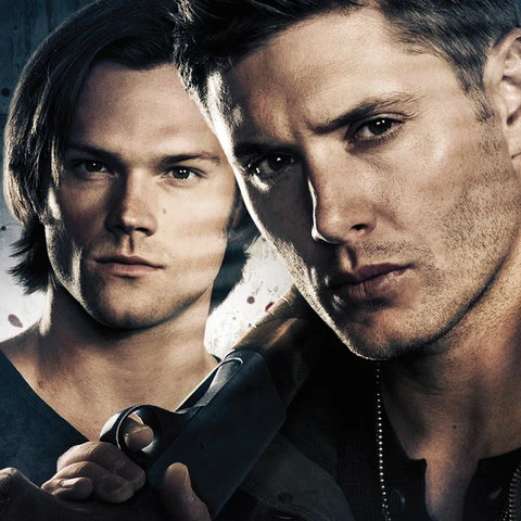 Supernatural Brothers Poster Print (16 x 20) | Дом и сад