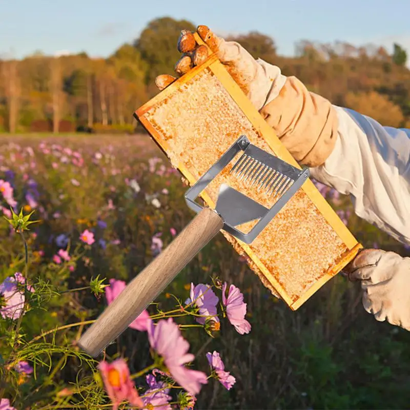 

2 in 1 Innovative Cut honey fork scraper Stainless steel Beekeeper Apiary Beekeeping tools Manual Scraper Honey harvesting fork