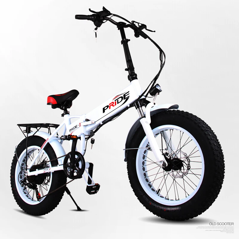  Off Road Electric Scooter Two Wheels Electric Scooter 20 inch 48V 240W Snow Beach Foldable Electric